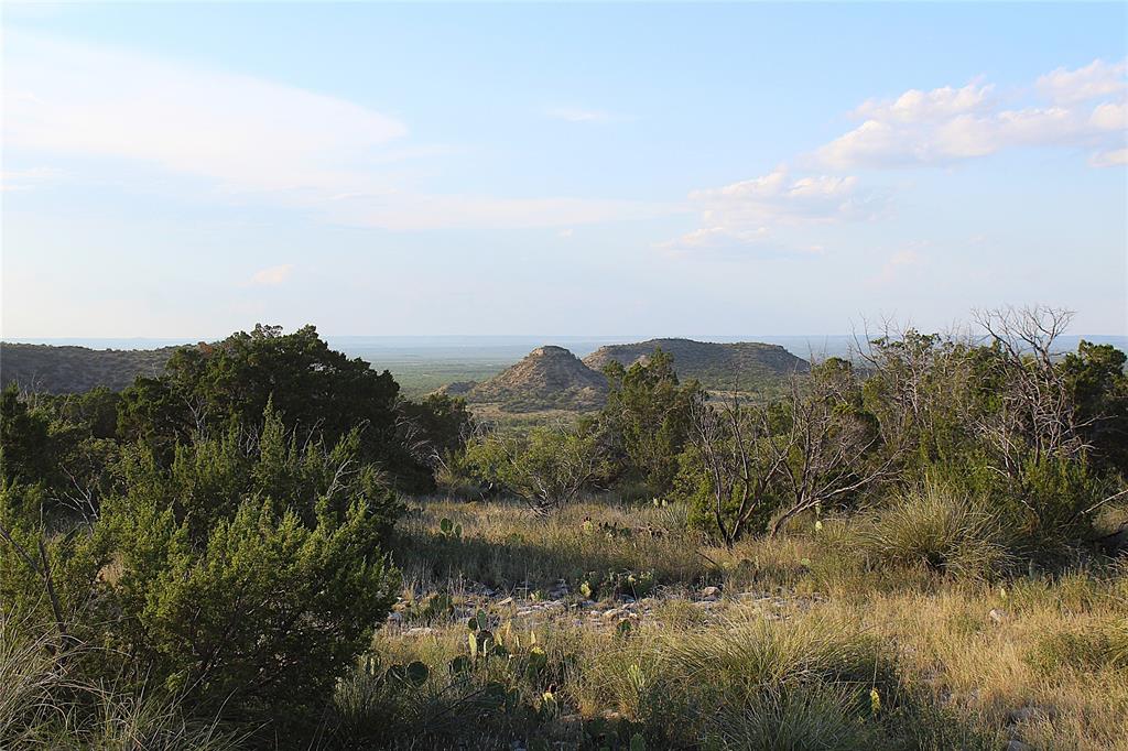 T3 Hwy 208 Robert Lee Tx 76945 Robert Lee, TX 76945 - Photo 6 of 15 a view of a lake in middle of forest