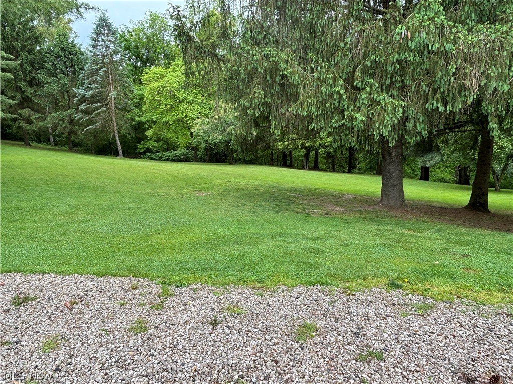 2417 Mc Adoo Ridge Road Wellsburg, WV 26070 - Photo 30 of 33 View of yard