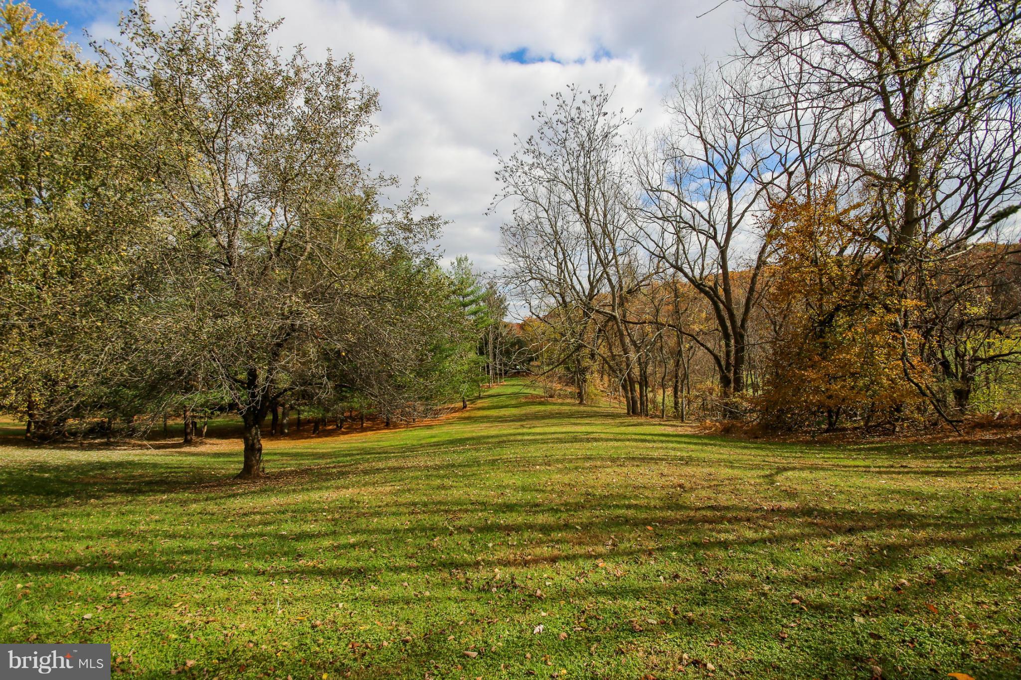 511 East Quaker Bottom Road Sparks, MD 21152 - Photo 4 of 30 a view of a yard with a large trees
