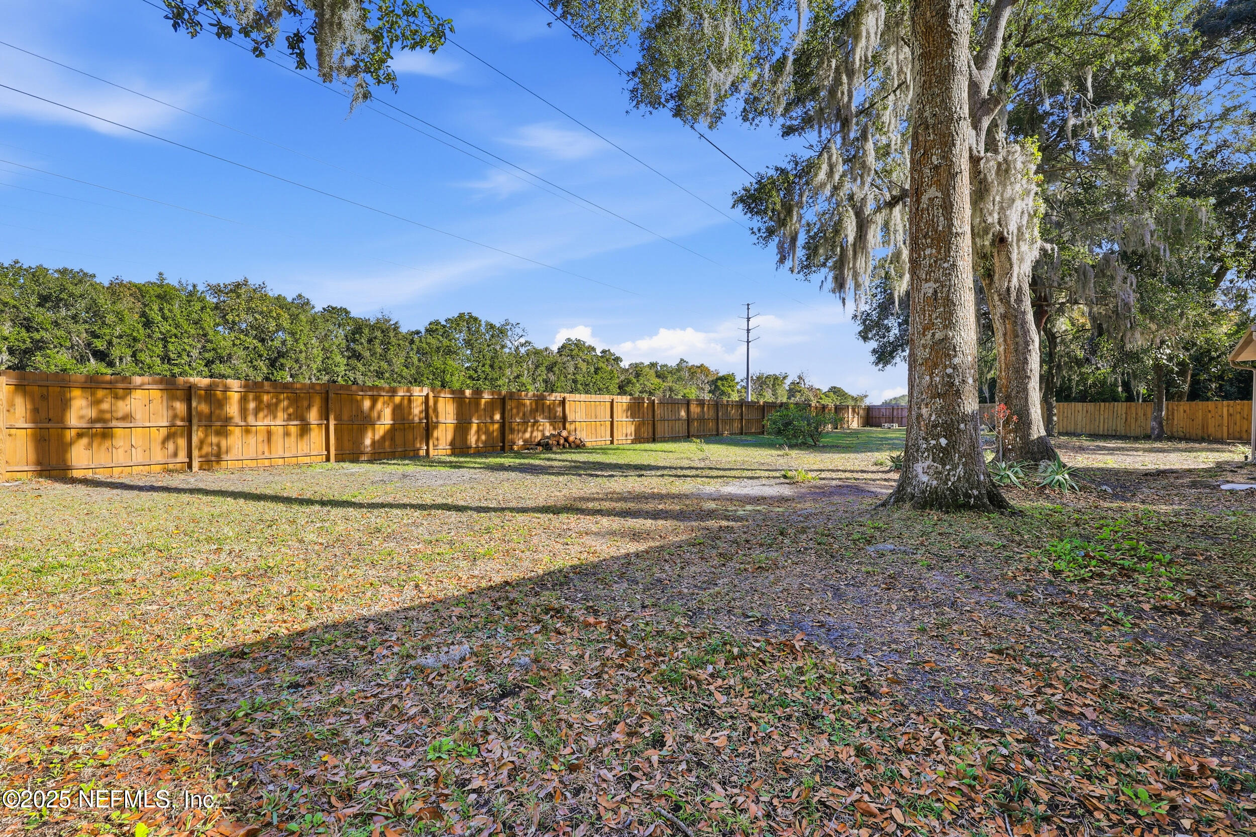 3225 Trophy Place Jacksonville, FL 32225 - Photo 24 of 30 Large Backyard