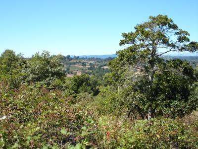 471 Gold Ridge Road Sebastopol, CA 95472 - Photo 1 of 6 a view of a green field