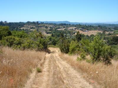 471 Gold Ridge Road Sebastopol, CA 95472 - Photo 3 of 6 a view of a city