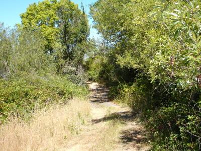 471 Gold Ridge Road Sebastopol, CA 95472 - Photo 6 of 6 a view of lake view