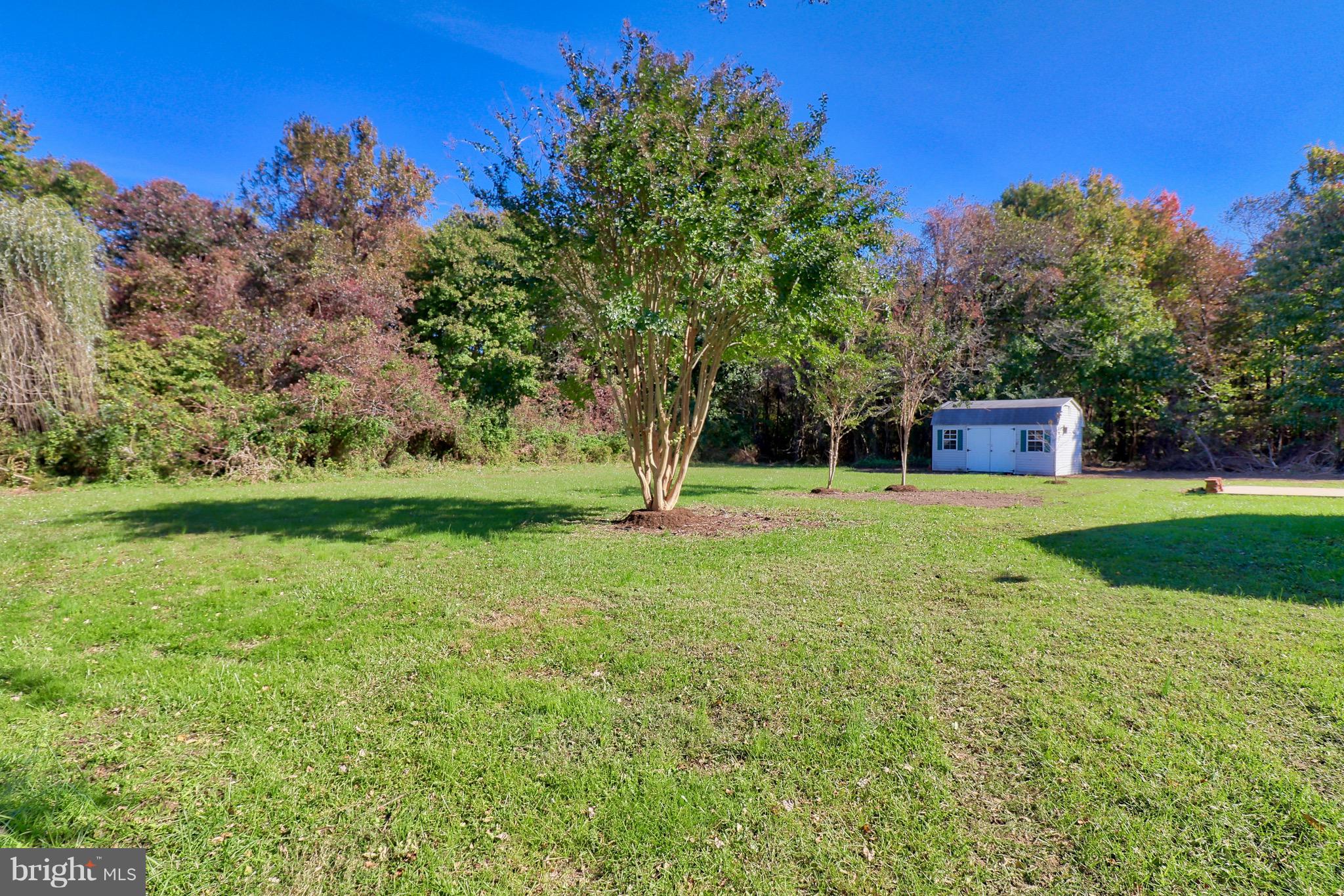 102 Calvert Road Stevensville, MD 21666 - Photo 6 of 35 Gallery Image 6