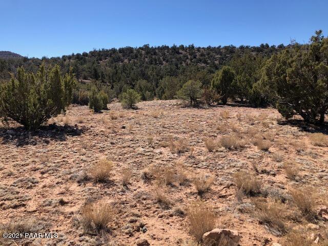 0 Wrong Way Road Ash Fork, AZ 86320 - Photo 1 of 4 IMG_0403