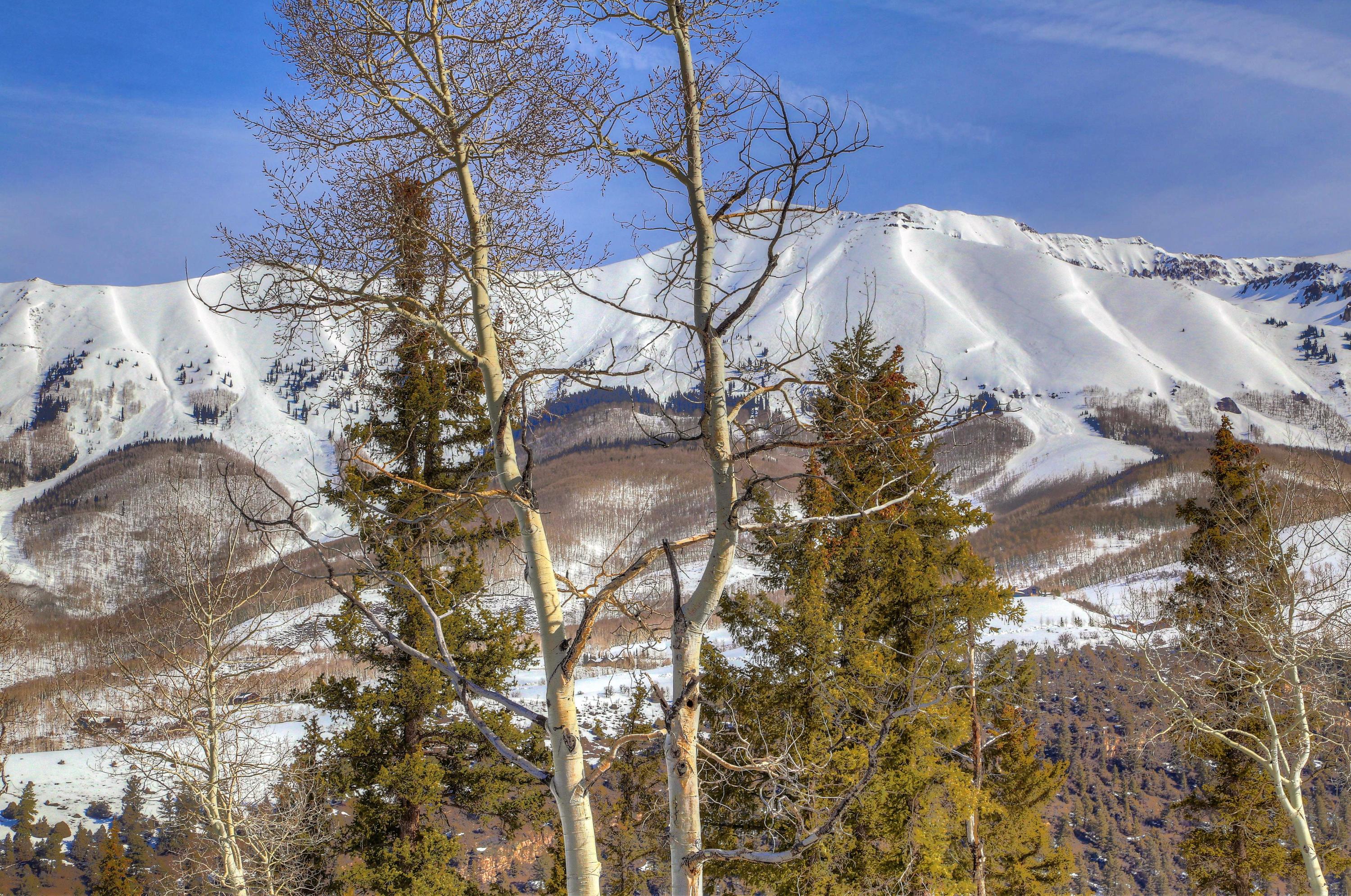 225 Adams Ranch Road Mountain Village, CO 81435 - Photo 9 of 50 225 Adams Ranch Rd. 127_8_9_tonemapped