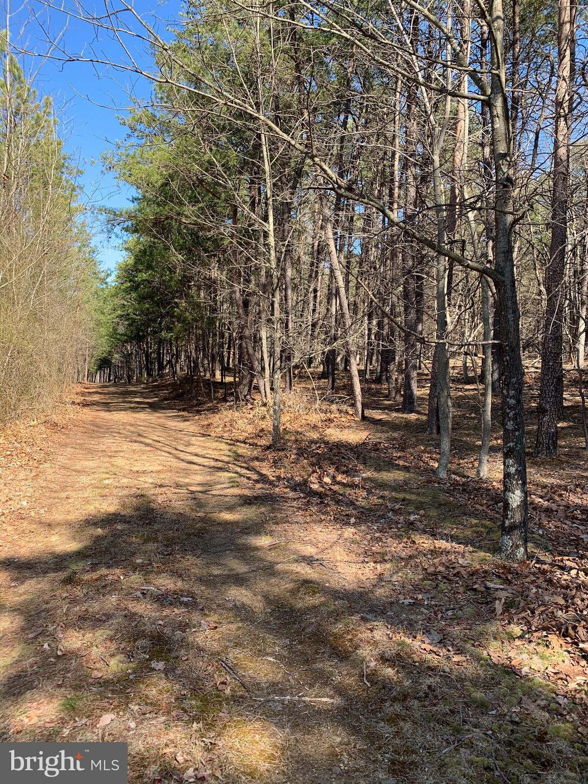 522 South Rt Berkeley Springs Berkeley Springs, WV 25411 - Photo 2 of 42 Road through property