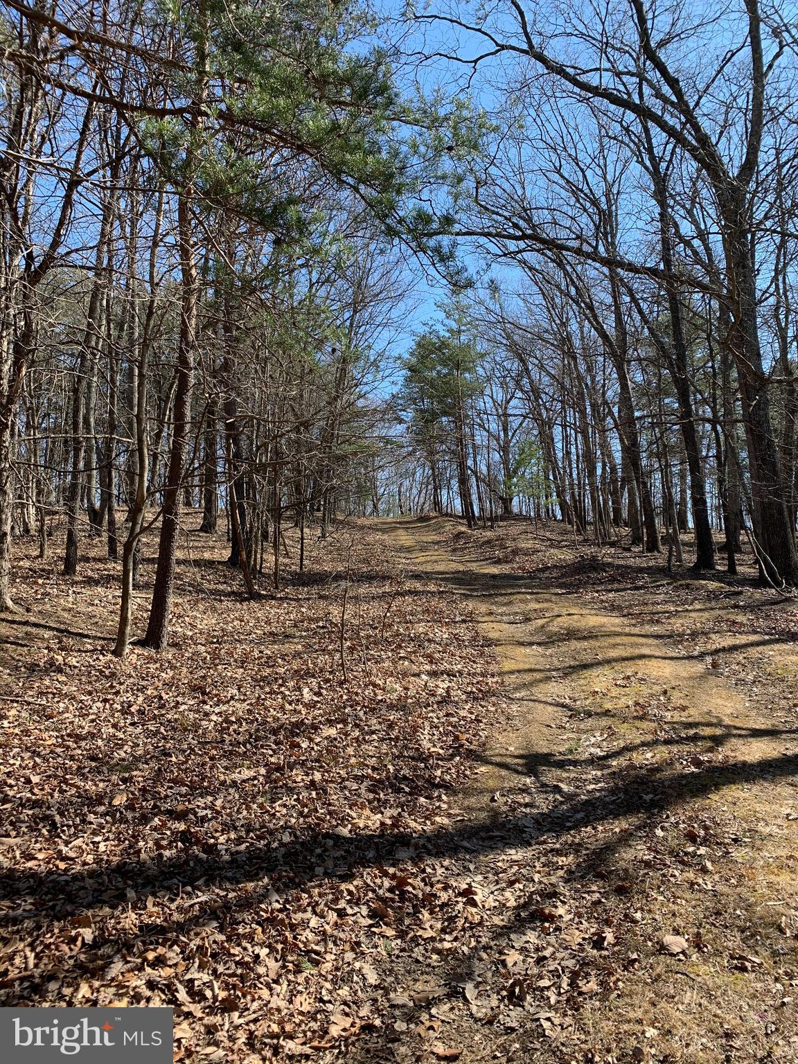 522 South Rt Berkeley Springs Berkeley Springs, WV 25411 - Photo 11 of 42 Road through property