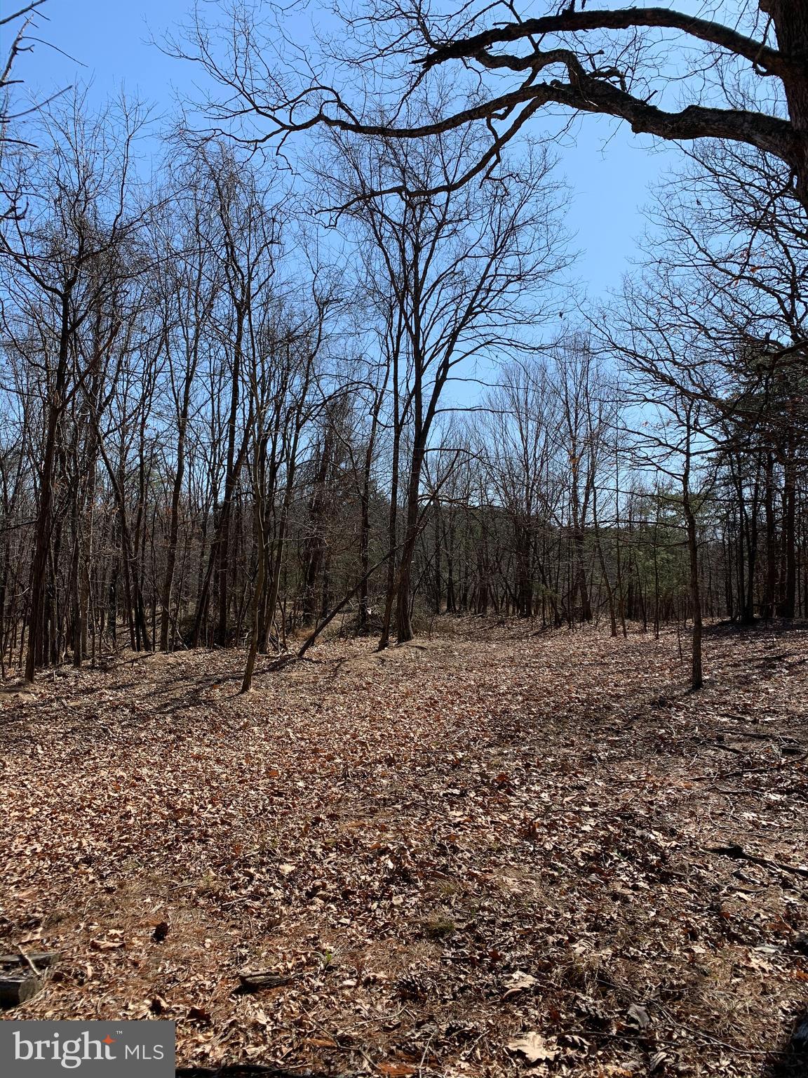 522 South Rt Berkeley Springs Berkeley Springs, WV 25411 - Photo 21 of 42