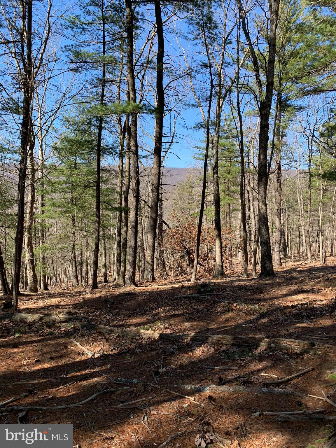 522 South Rt Berkeley Springs Berkeley Springs, WV 25411 - Photo 23 of 42