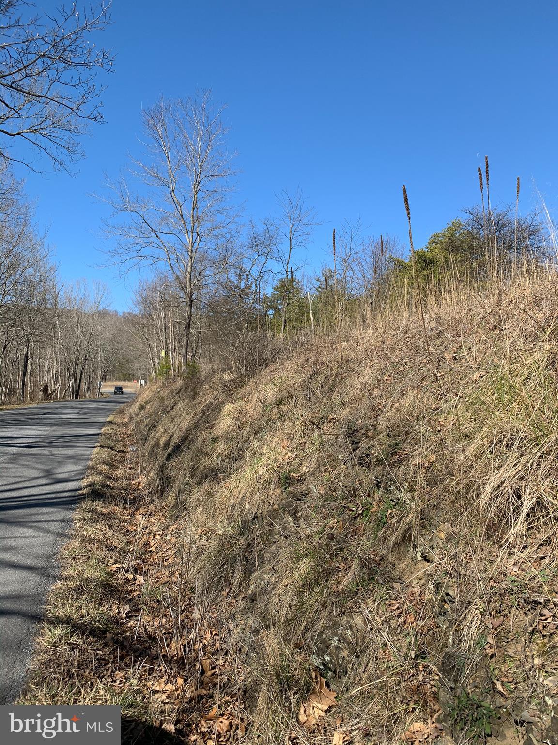 522 South Rt Berkeley Springs Berkeley Springs, WV 25411 - Photo 40 of 42