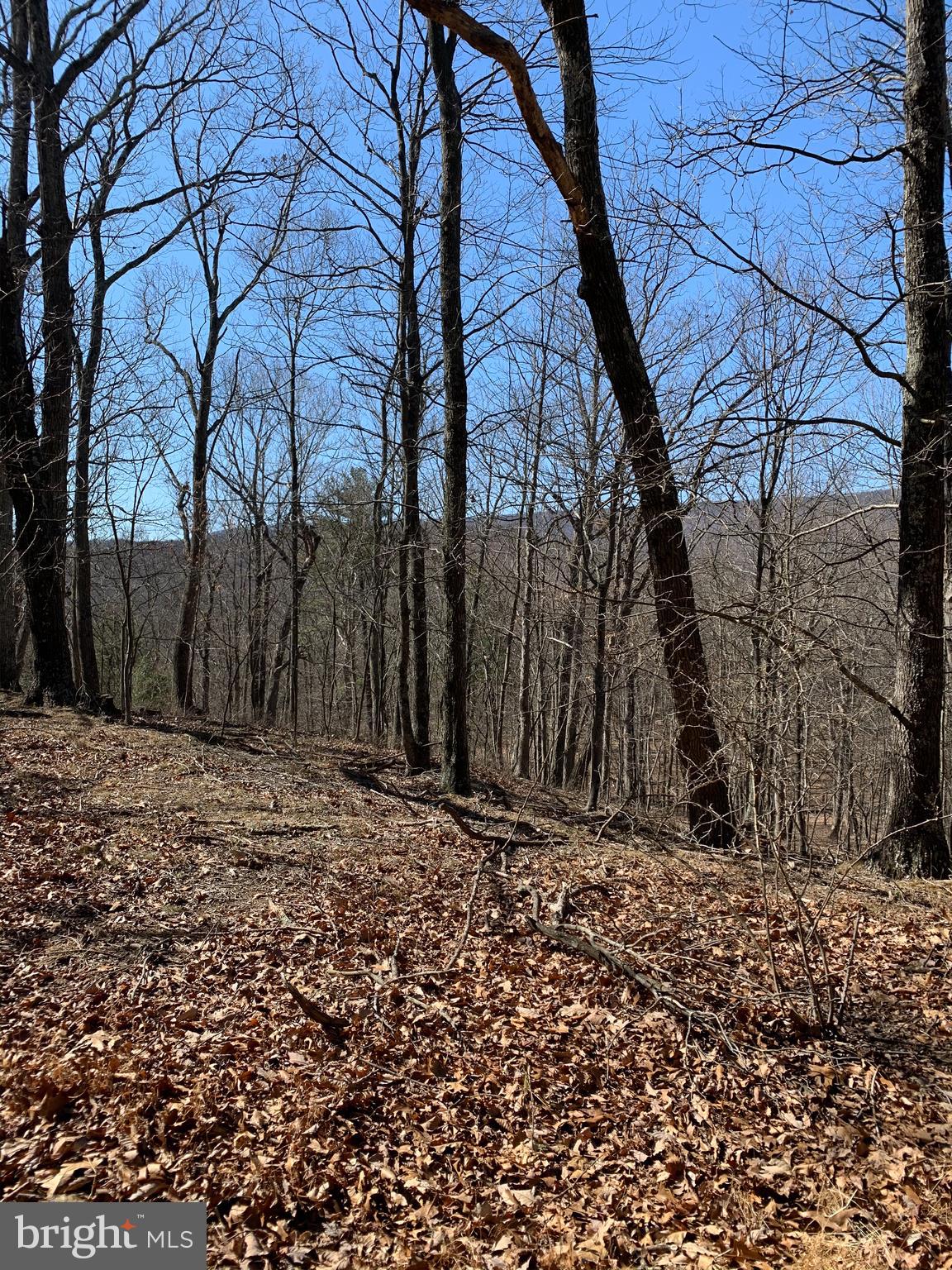 522 South Rt Berkeley Springs Berkeley Springs, WV 25411 - Photo 6 of 42 Mountain view