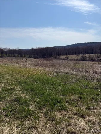 $189,000 | 23 State Highway, McDonough, NY 13801