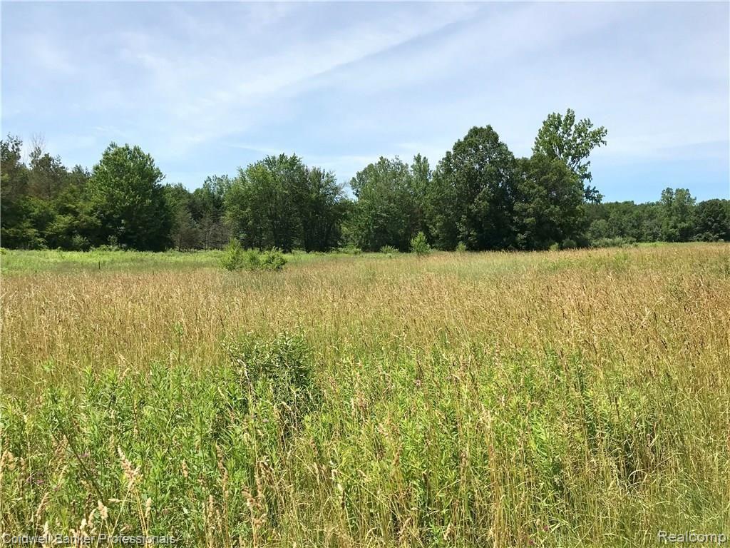 0 Lake Road Otisville, MI 48463 - Photo 3 of 12