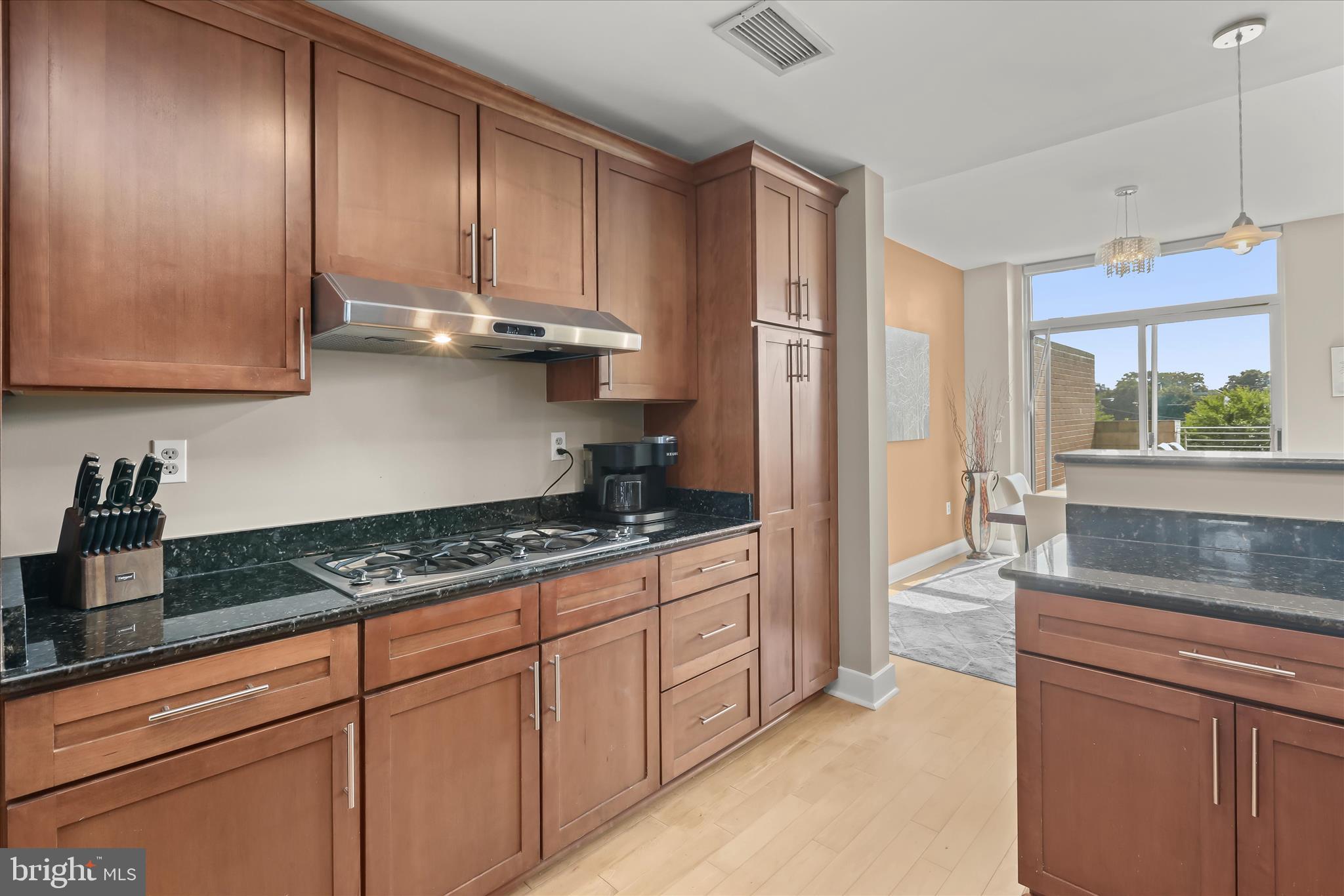 1400 Lancaster Street, Unit 311 Baltimore, MD 21231 - Photo 12 of 46 Kitchen