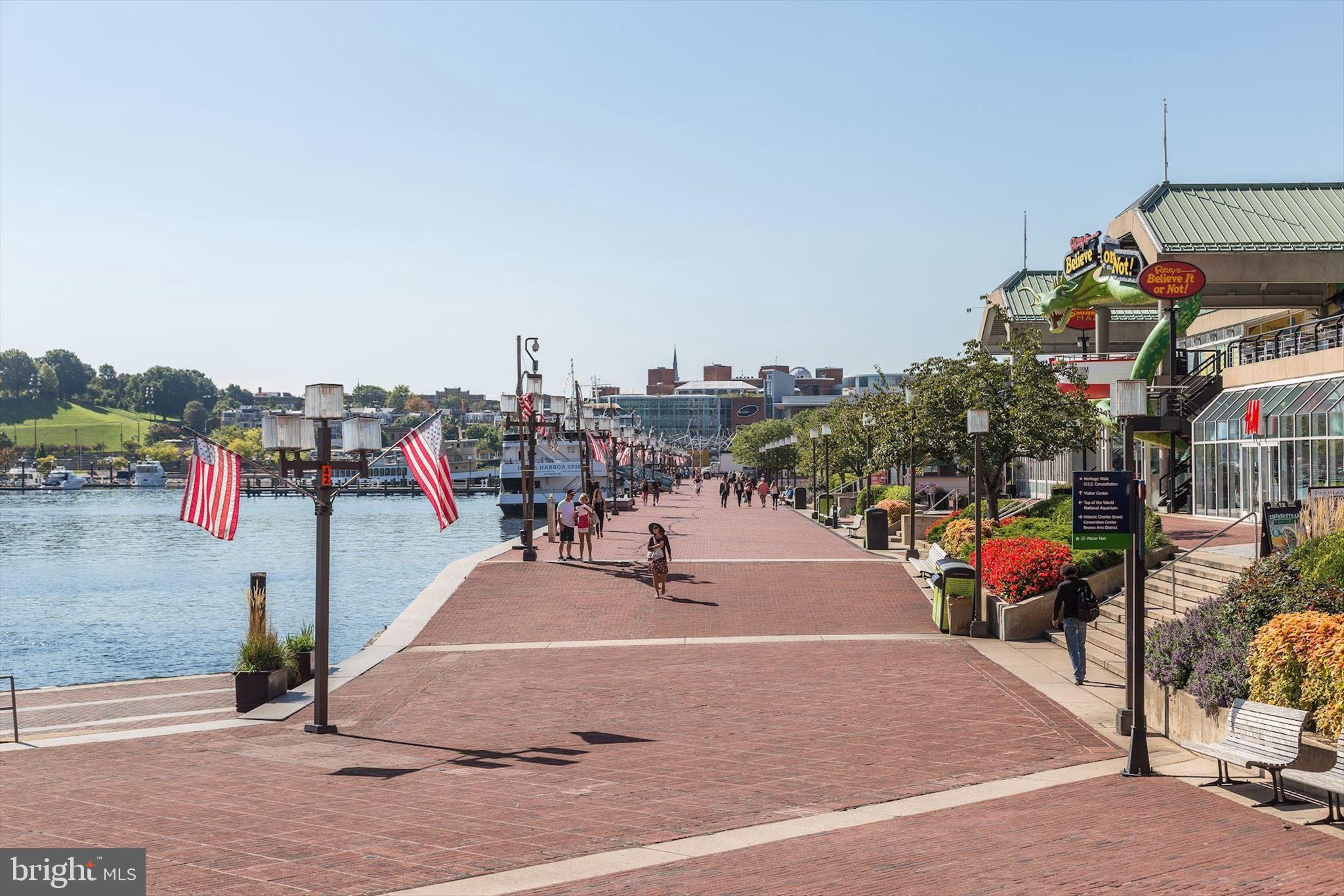 1400 Lancaster Street, Unit 311 Baltimore, MD 21231 - Photo 33 of 46 Baltimore