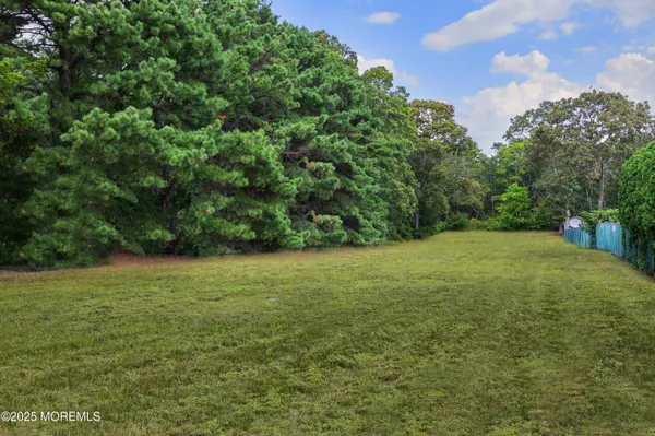 a view of outdoor space and yard