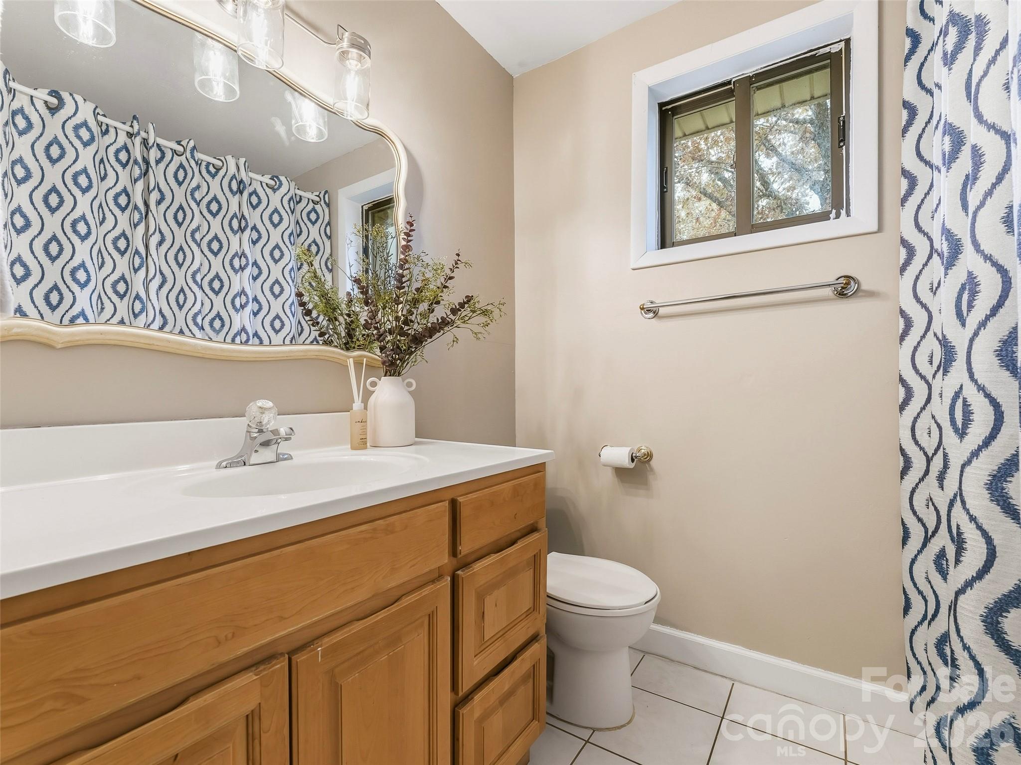605 Dana Road Hendersonville, NC 28792 - Photo 27 of 38 a bathroom with a toilet sink and mirror