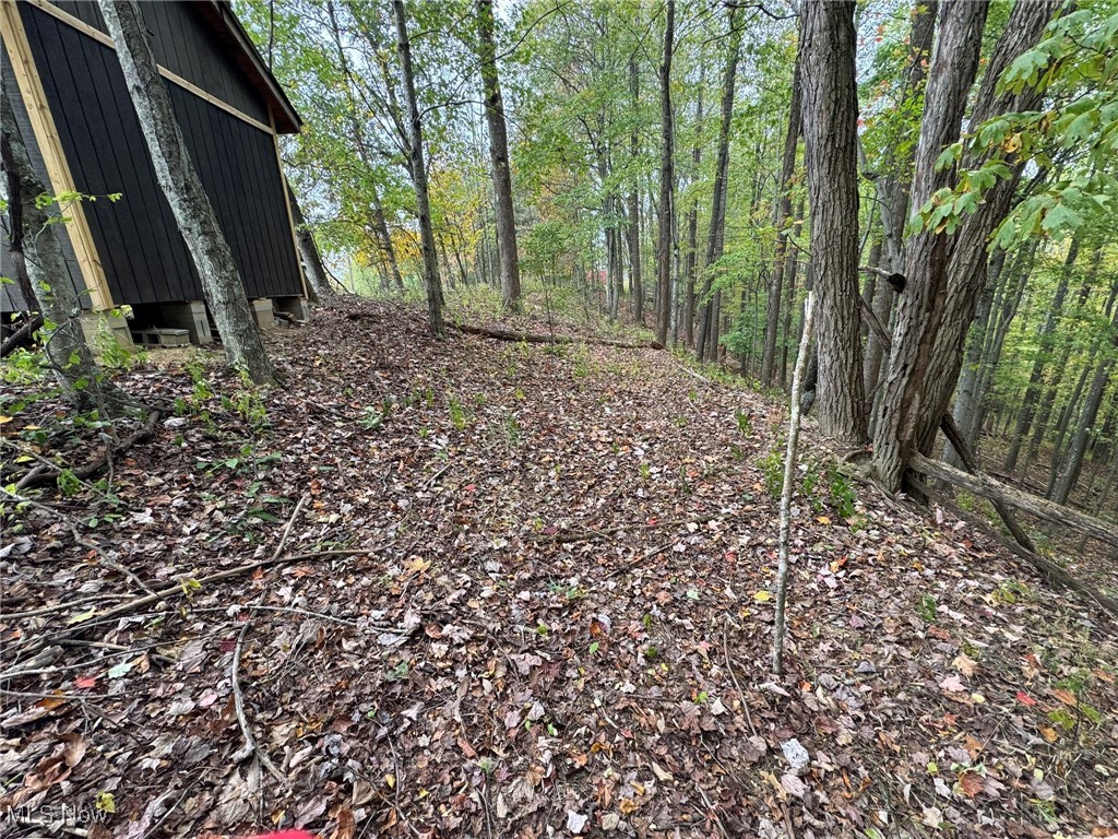 731 Riffle Run Road Grantsville, WV 26147 - Photo 8 of 30