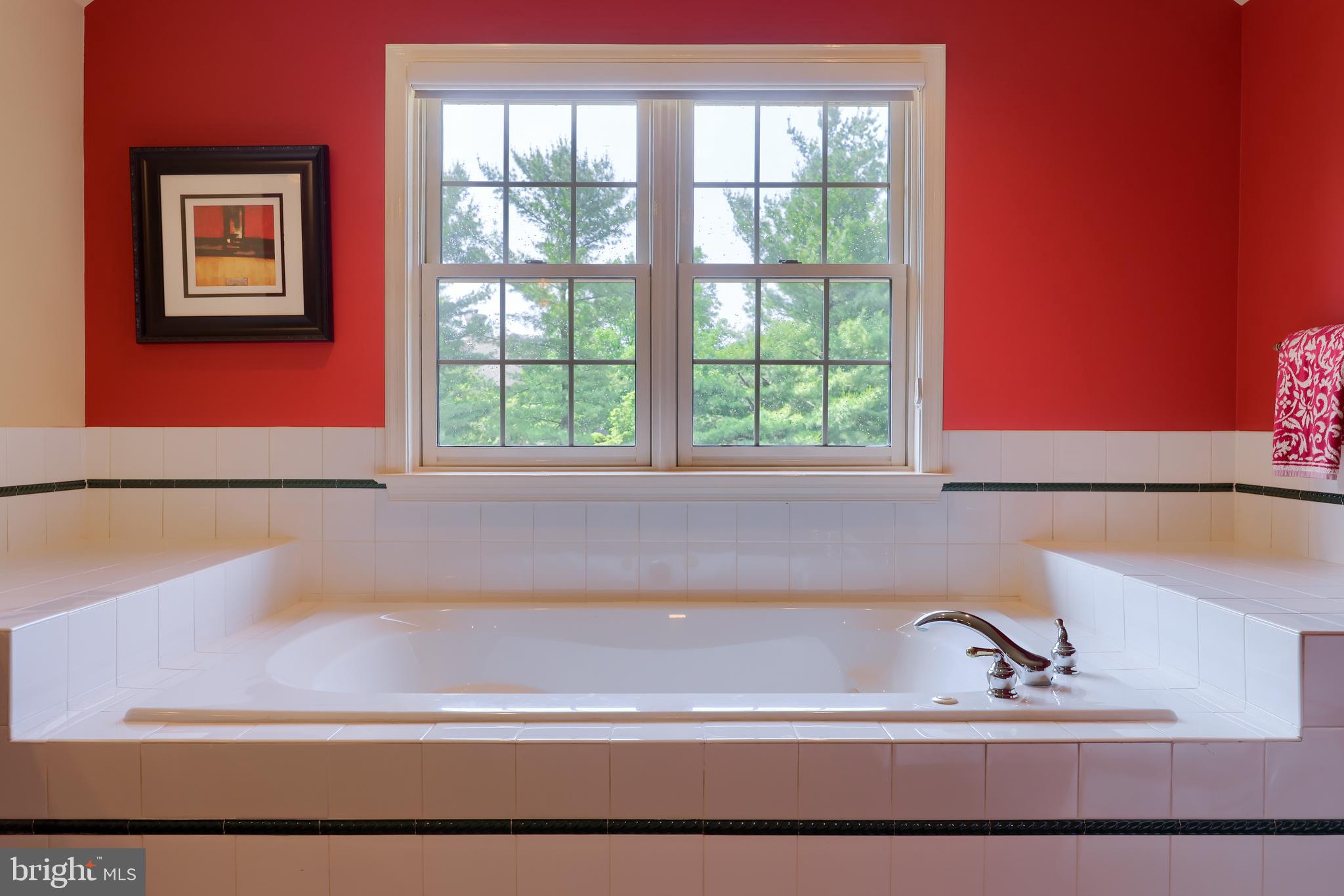 430 Oak Lane Lititz, PA 17543 - Photo 30 of 51 Primary Bathroom Soaking tub