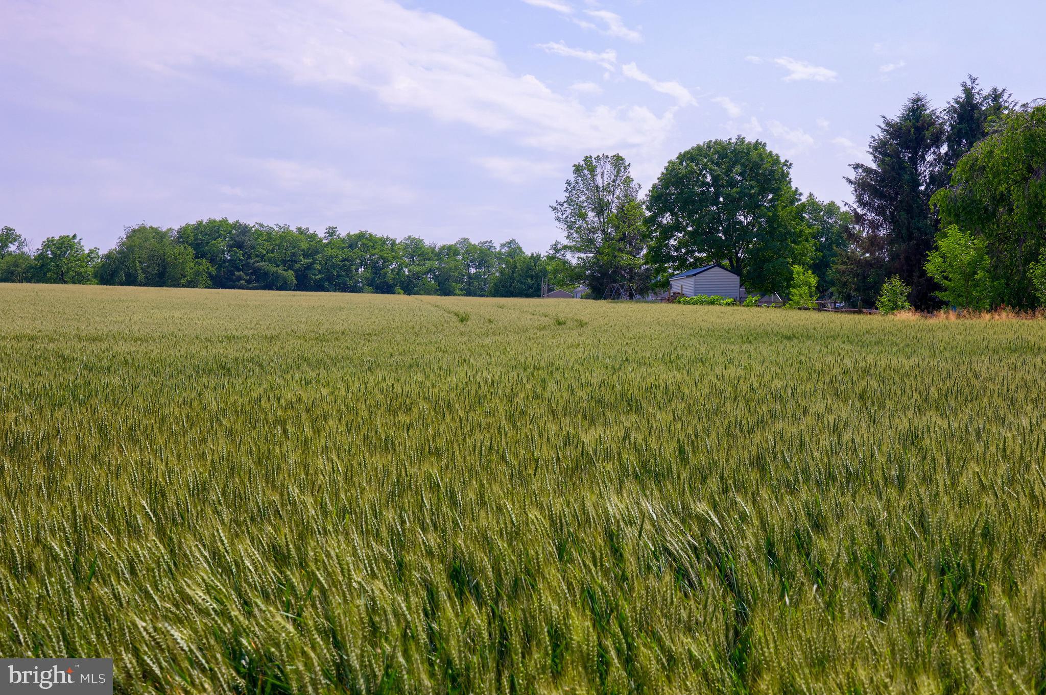 430 Oak Lane Lititz, PA 17543 - Photo 45 of 51 Beautiful Views