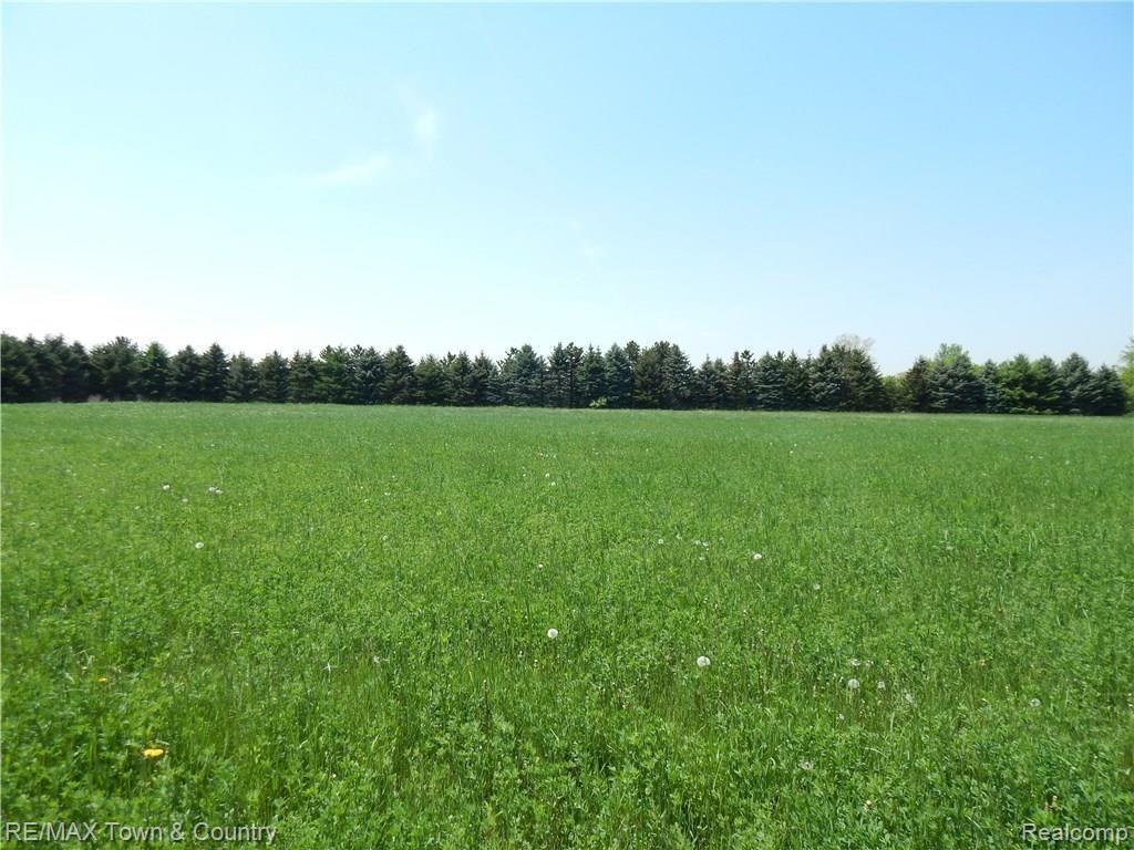 4367 Duffield Road Flushing, MI 48433 - Photo 42 of 48 DSCN1942.JPG