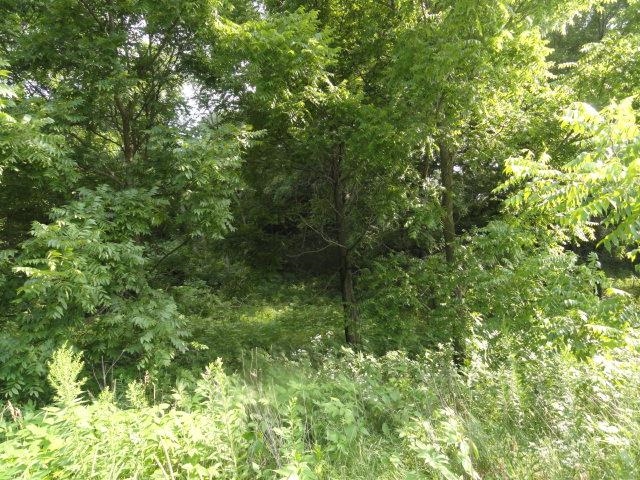 Lt 9 Cardinal Crest Lane New Glarus, WI 53574 - Photo 26 of 64