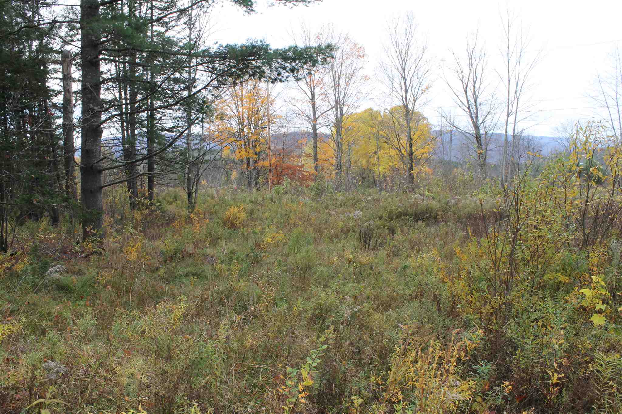 Lot 3-019 Town Line Road Rochester, VT 05767 - Photo 12 of 17