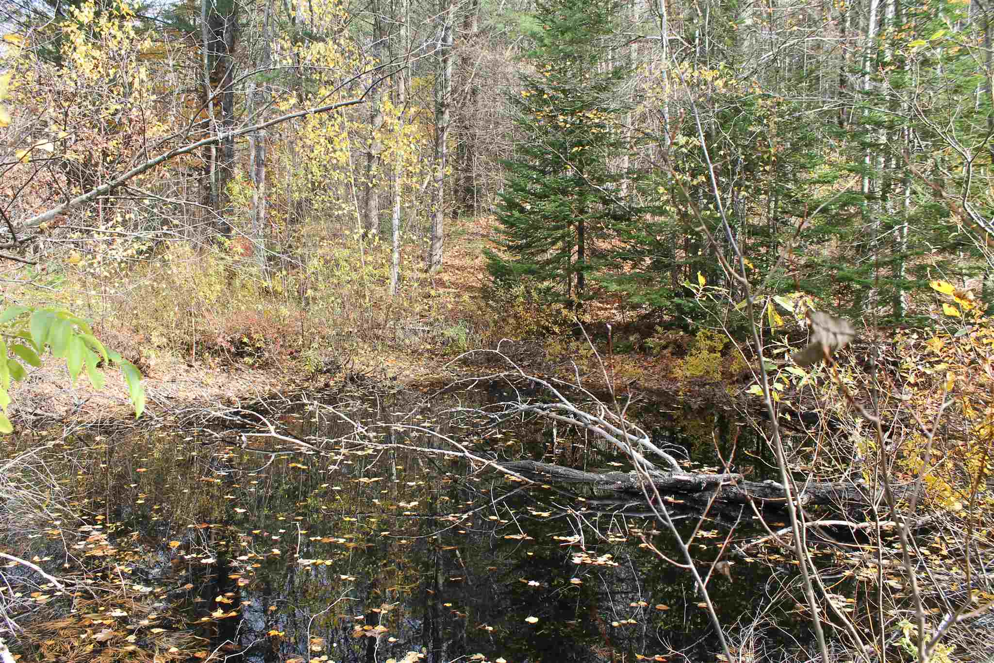 Lot 3-019 Town Line Road Rochester, VT 05767 - Photo 7 of 17