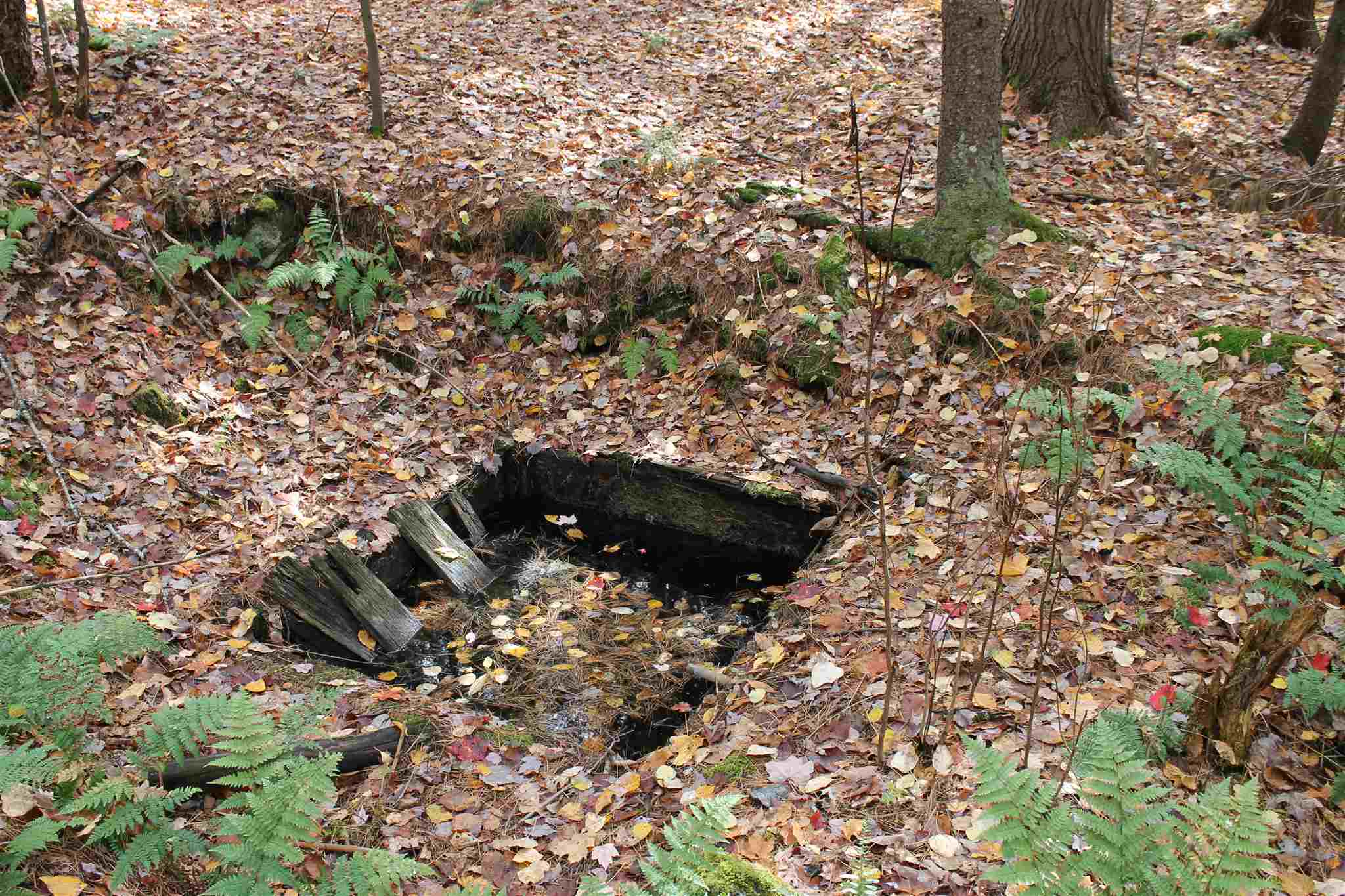 Lot 3-019 Town Line Road Rochester, VT 05767 - Photo 8 of 17