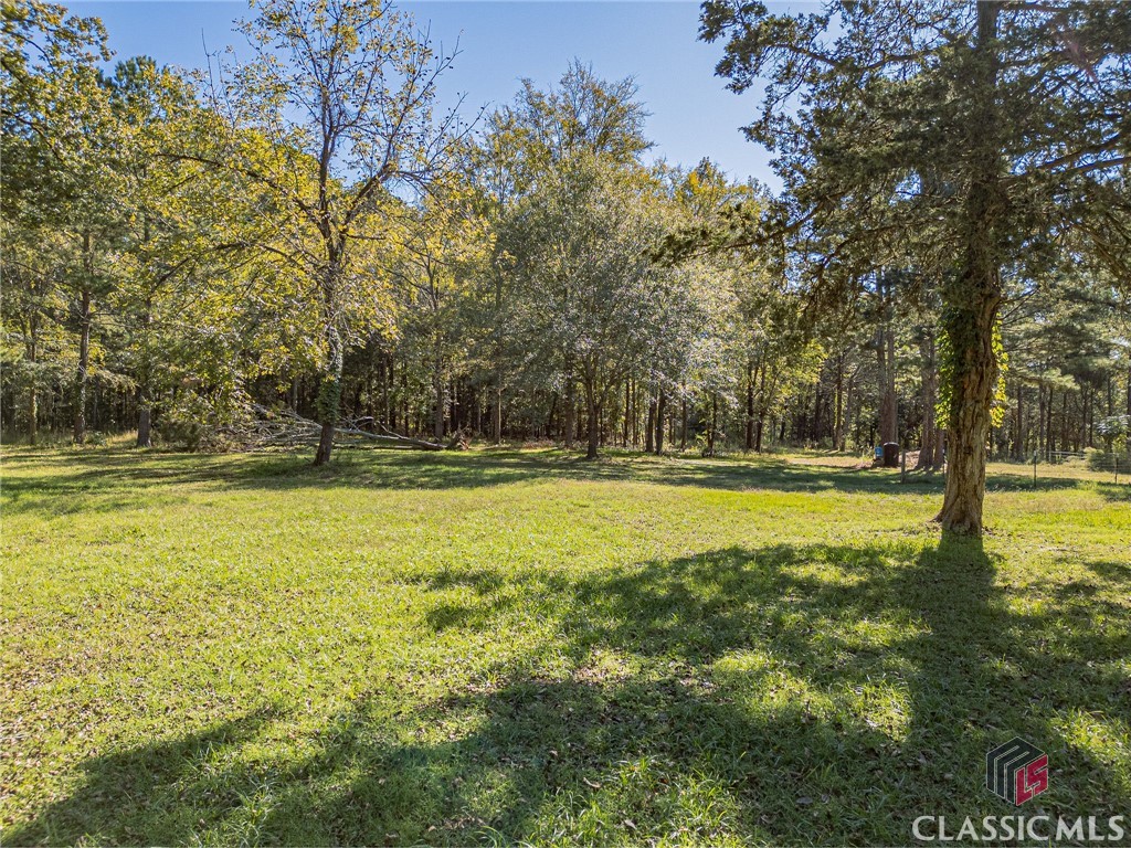 145 Wire Bridge Road Stephens, GA 30667 - Photo 2 of 4