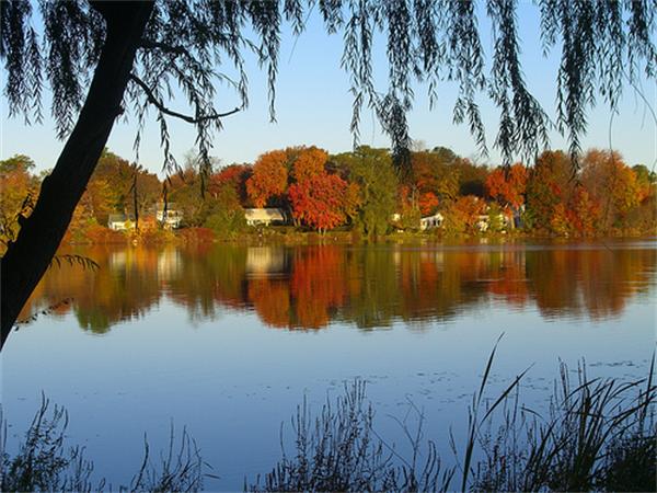 88 Hardy Pond Road Waltham, MA 02451 - Photo 21 of 29 a view of lake