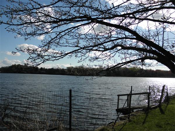 88 Hardy Pond Road Waltham, MA 02451 - Photo 24 of 29 a view of a lake from a balcony