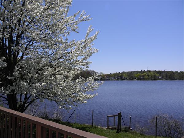 88 Hardy Pond Road Waltham, MA 02451 - Photo 7 of 29 a view of lake and mountain view