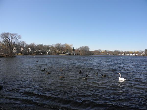 88 Hardy Pond Road Waltham, MA 02451 - Photo 10 of 29 a view of a lake view