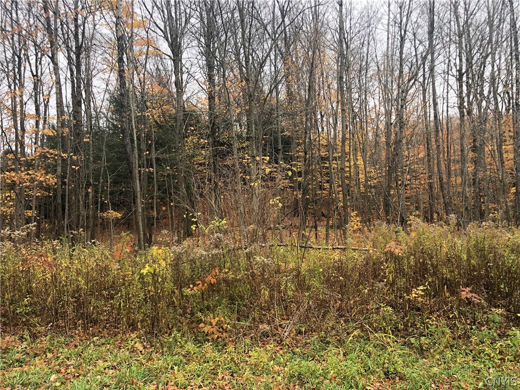 11399 Lowe Road Rodman, NY 13682 - Photo 1 of 1 Gallery Image 1