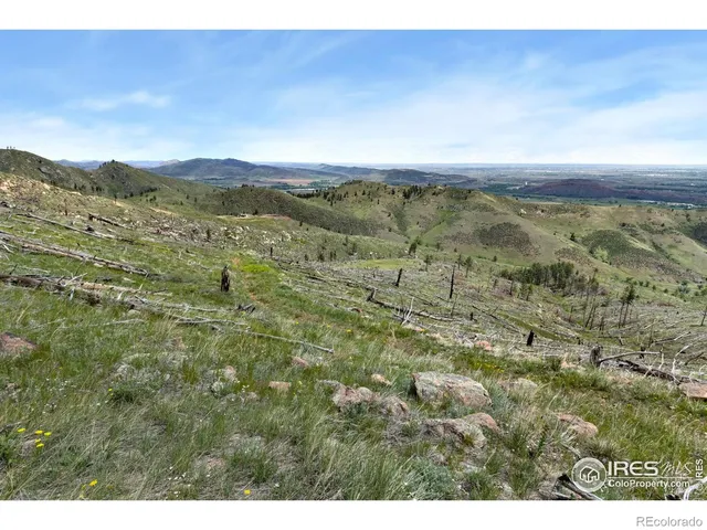 a view of a lush green field