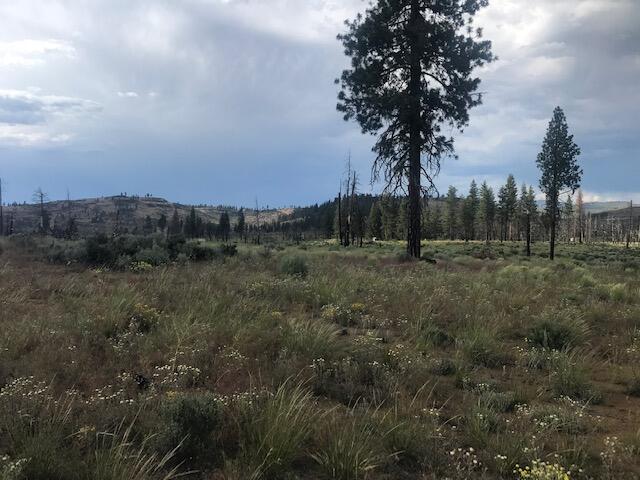 30 Ruffed Grouse Lane, Unit 29 Chiloquin, OR 97624 - Photo 20 of 25 Some Slight Sloping