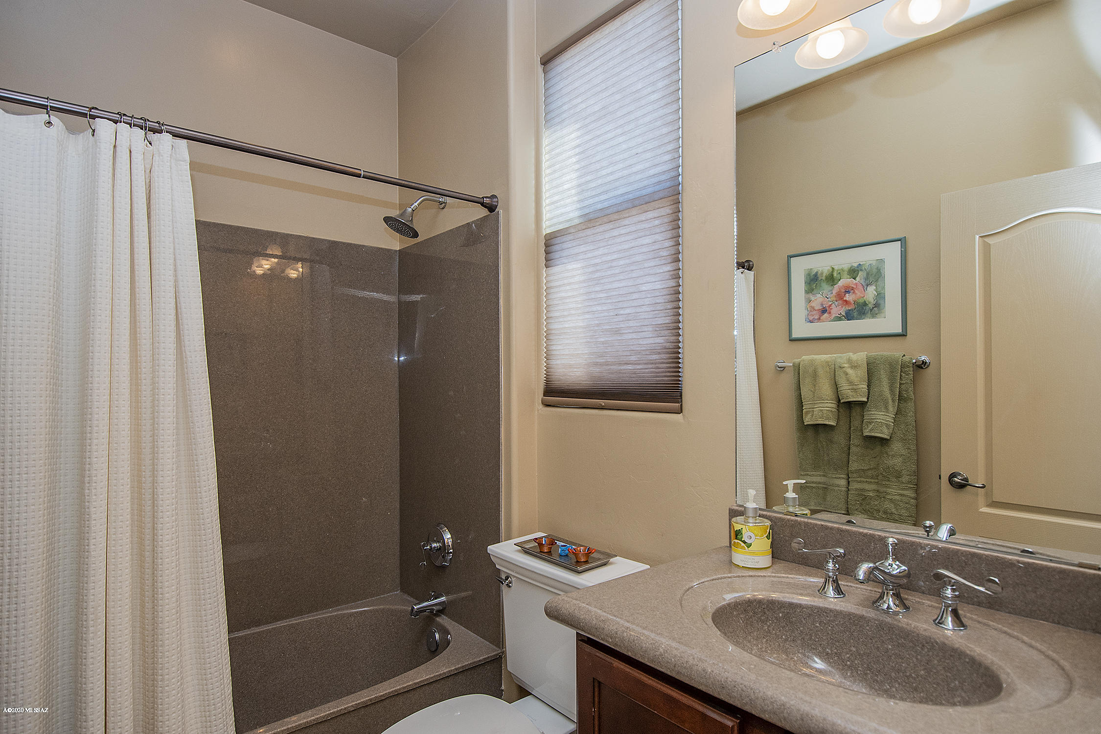 284 East Cedarvale Road Tucson, AZ 85704 - Photo 37 of 48 Gallery Image 37