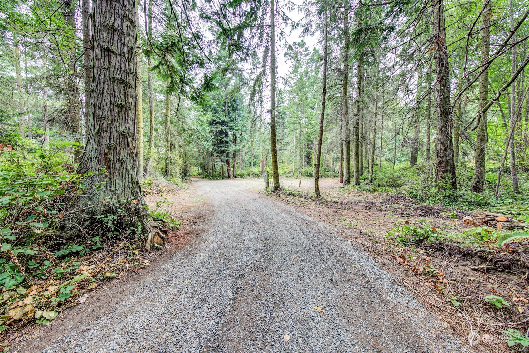 8135 Flagler Road Nordland, WA 98358 - Photo 8 of 40 Gallery Image 8