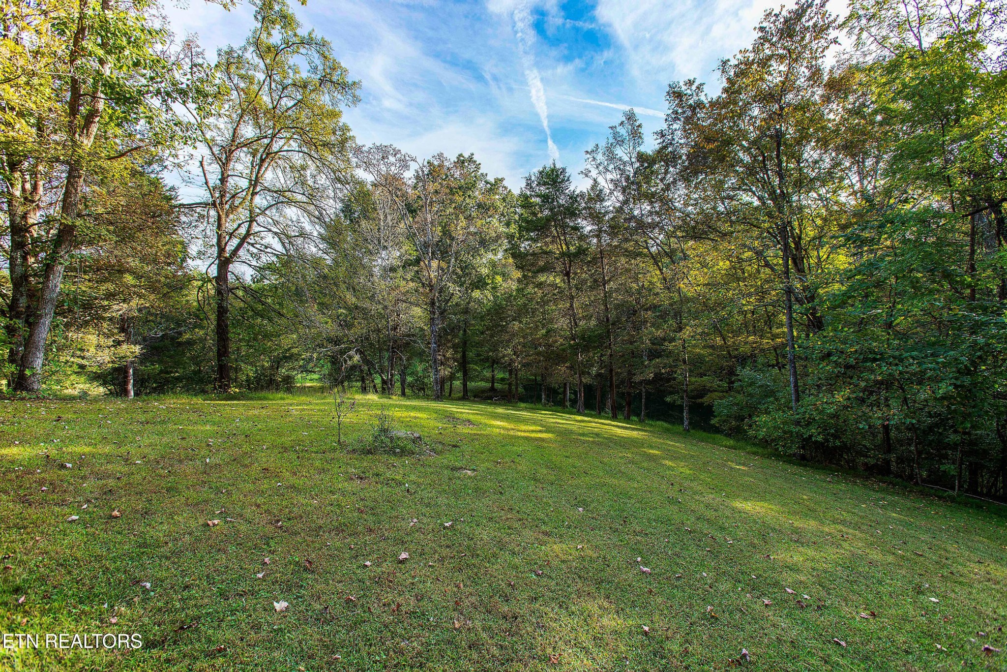 9633 Stringtown Road Strawberry Plains, TN 37871 - Photo 16 of 43 Gallery Image 16