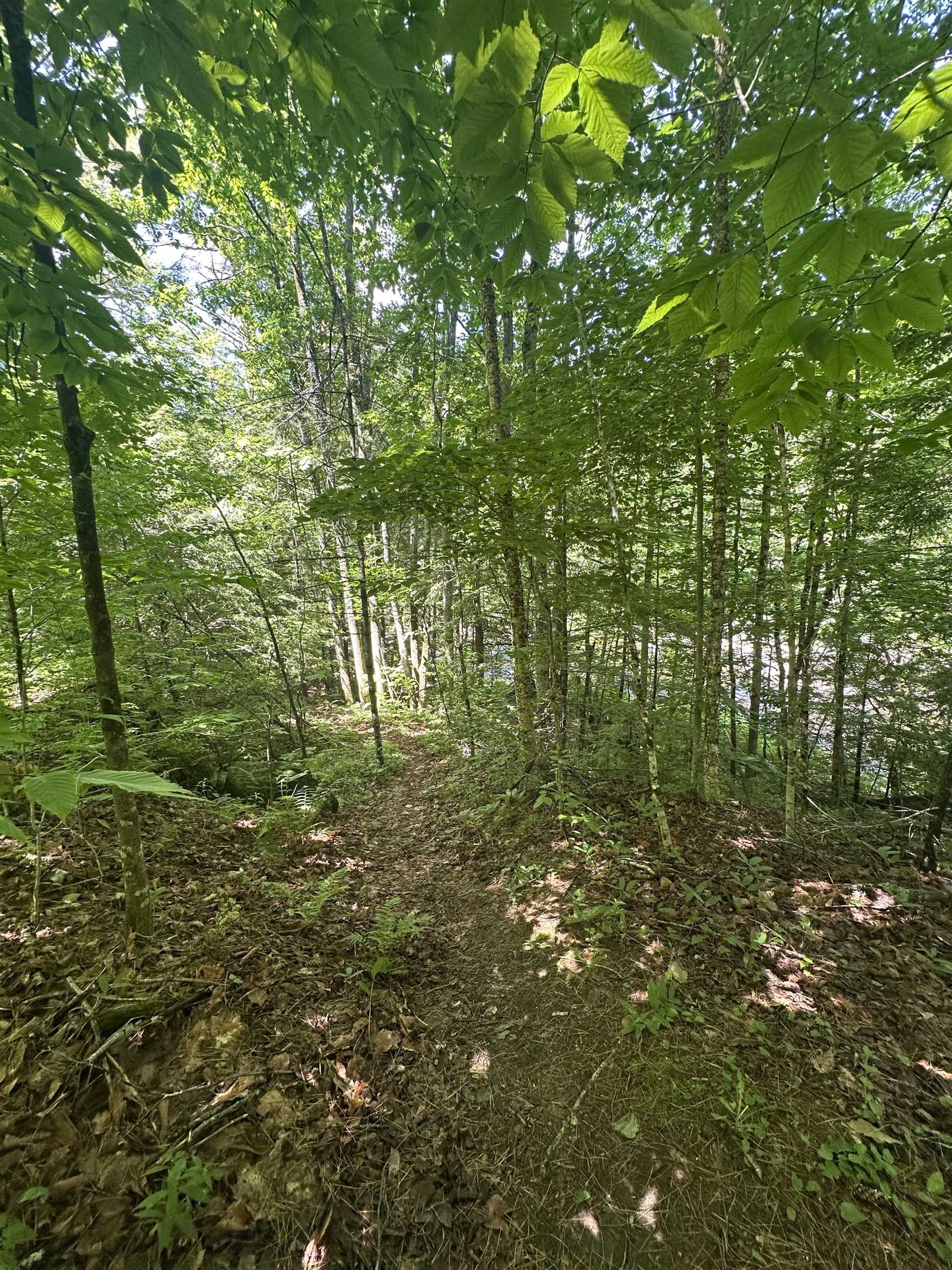 5 Spring Street Gilsum, NH 03448 - Photo 6 of 11
