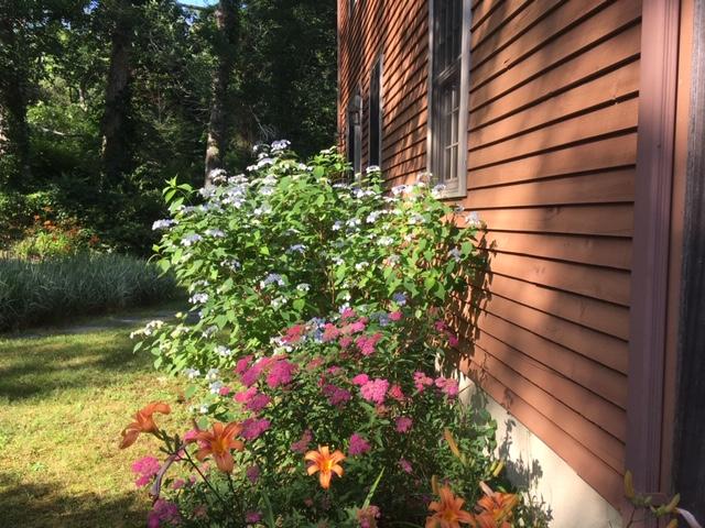 50 Barnabas Young Road Wellfleet, MA 02667 - Photo 7 of 44 ballou front flowers