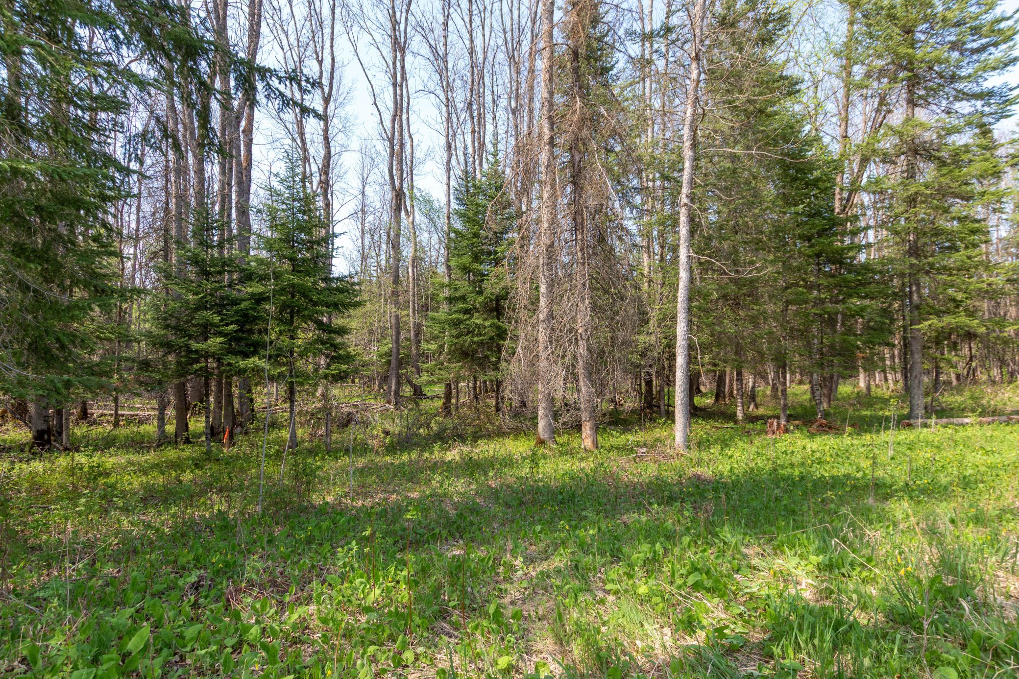 Tbd Tbd Stephani Road Northwest Puposky, MN 56667 - Photo 13 of 24