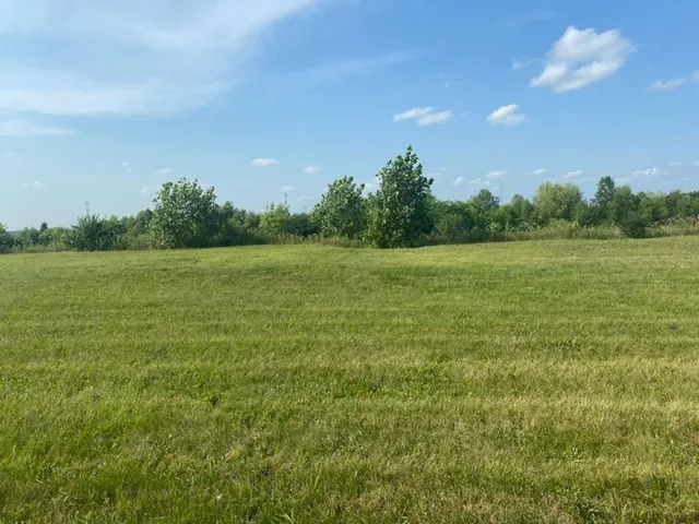a view of an ocean from a yard