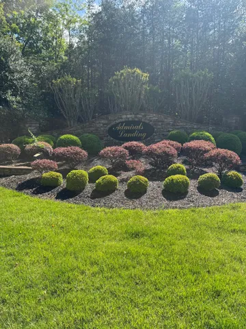 a view of a backyard with plants and outdoor seating