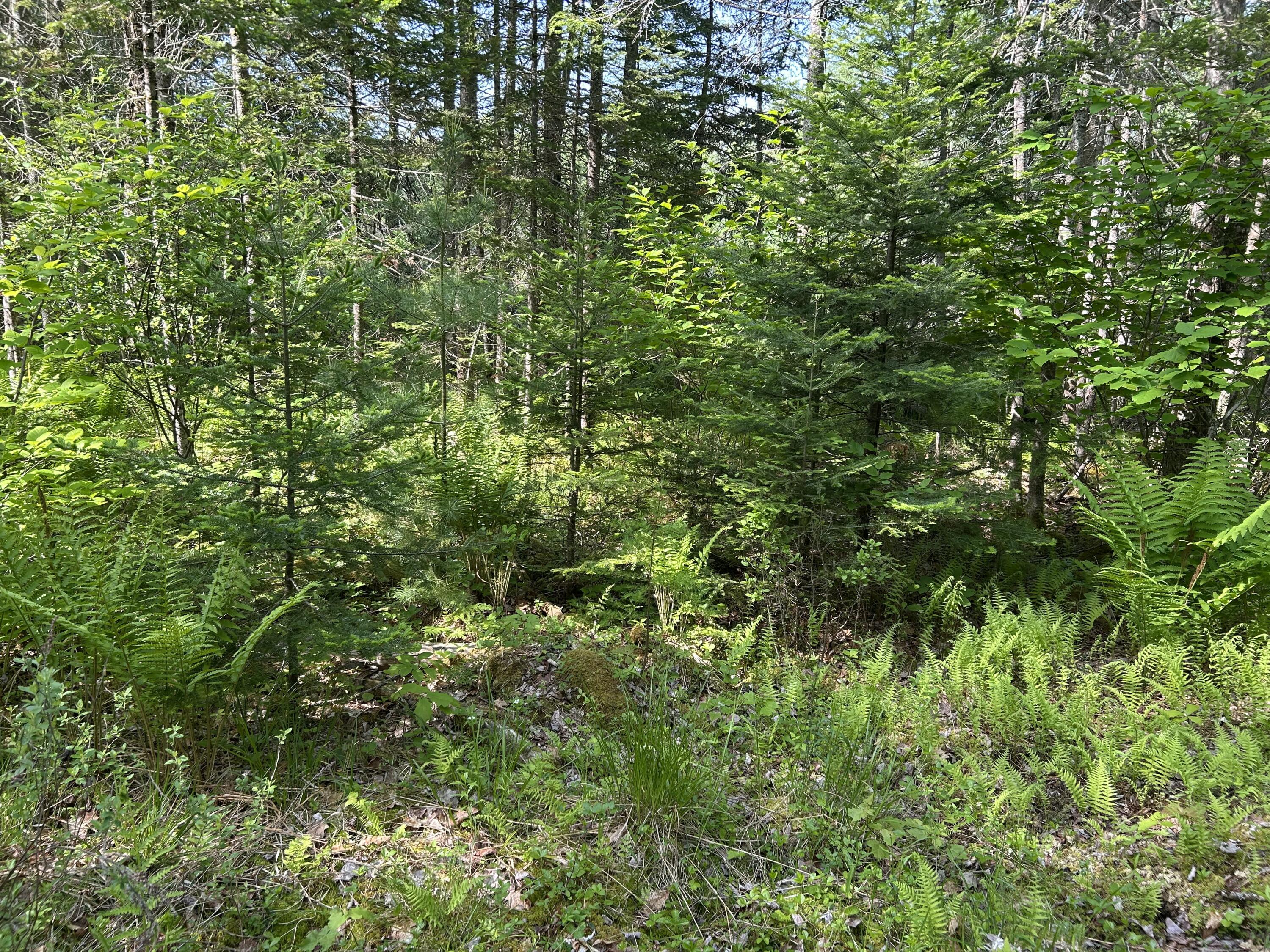 M5-l13 Clark Road Prospect, ME 04981 - Photo 4 of 33 IMG_8801