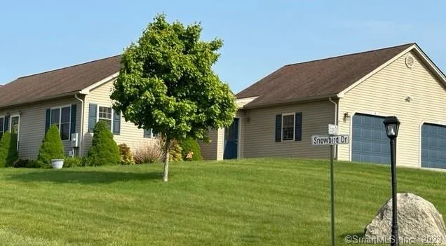 a backyard of a house with plants and large tree