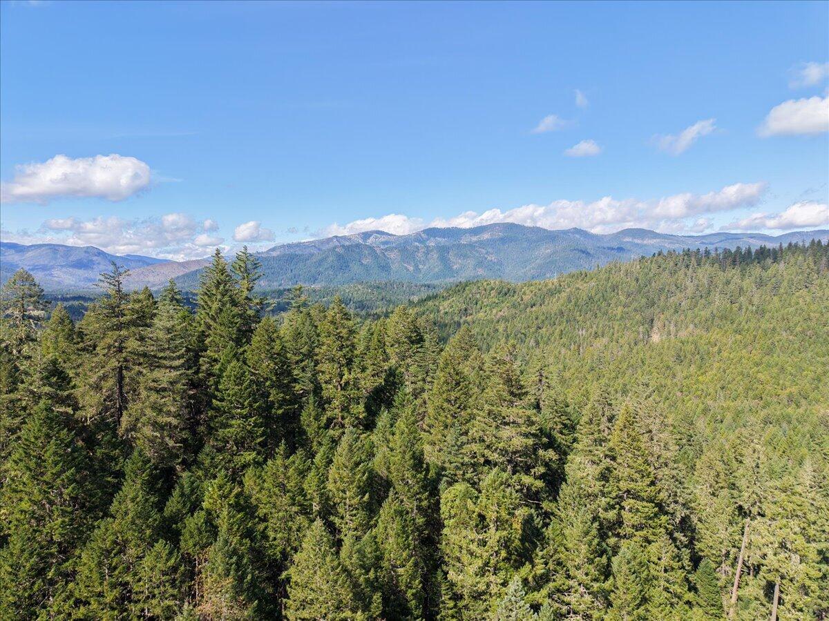 2787 Davis Creek Road Selma, OR 97538 - Photo 14 of 22 14-DJI_20260325114012_0136_D