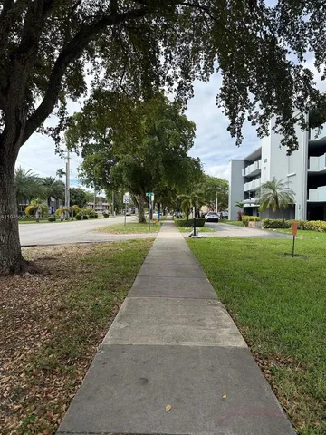 a park view with large trees